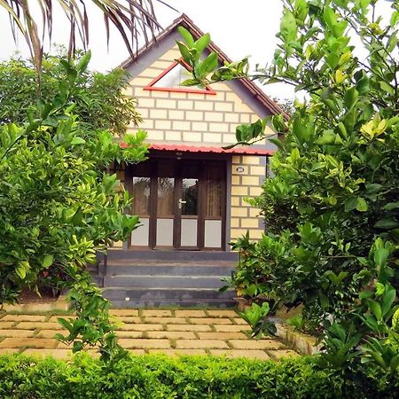 Wild Wadi Cottages Malanka Exterior foto